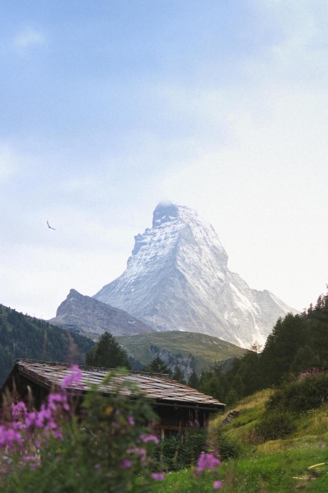 Studio Wolli - Stylish & Central - Steps To Matterhorn Gondola 采尔马特 外观 照片